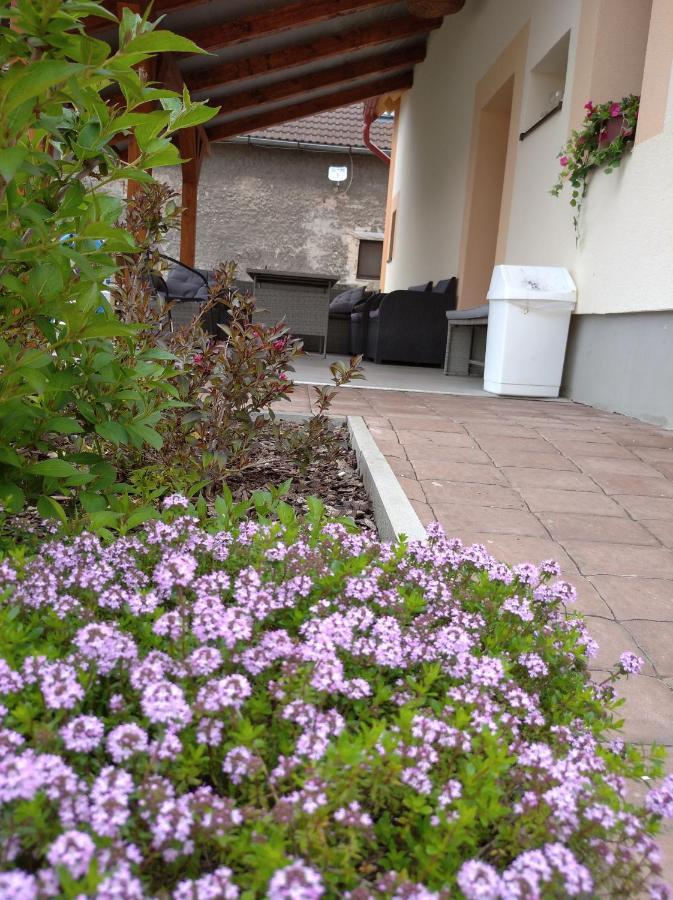 Apartmány Opolany Esterno foto